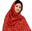 Pashmina Shawls